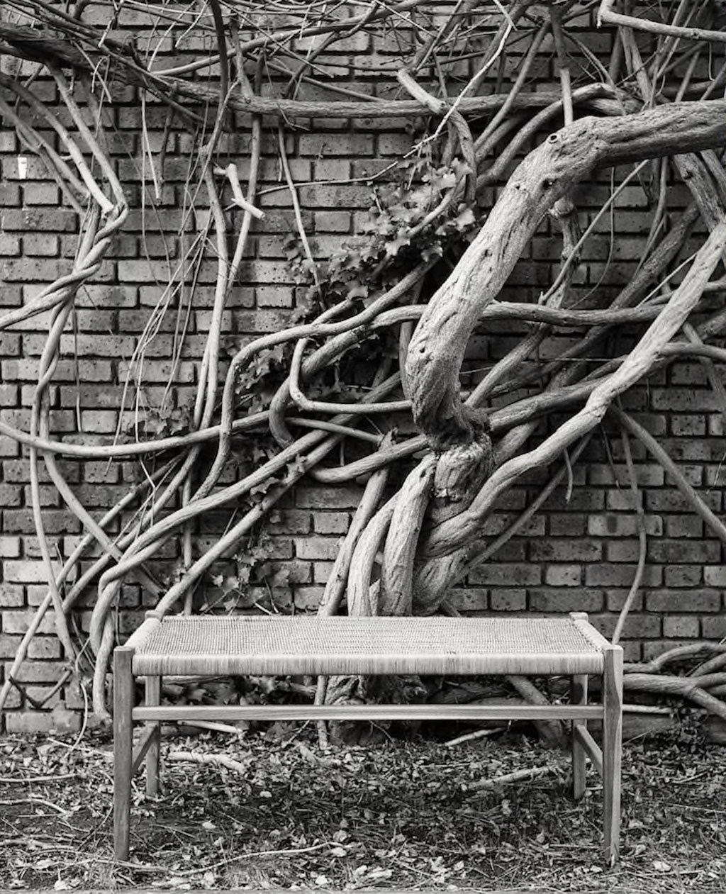 Jil Sander - © Giovanna Martial