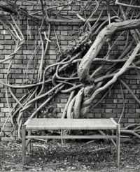 Jil Sander - © Giovanna Martial